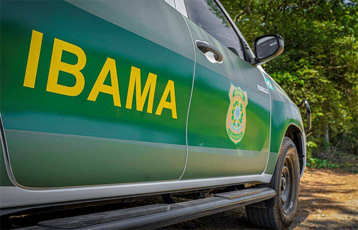Levantamento aponta 240 candidatos com R$ 213,5 milhões em multas ambientais
