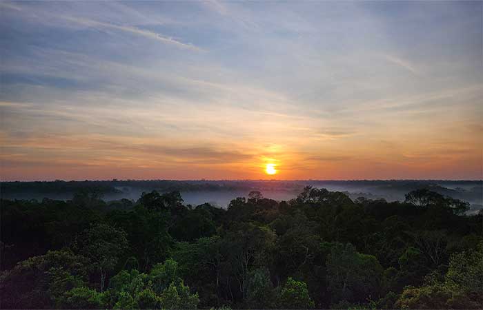 Atriz Christiane Torloni apresenta na USP documentário sobre Amazônia e mudanças climáticas