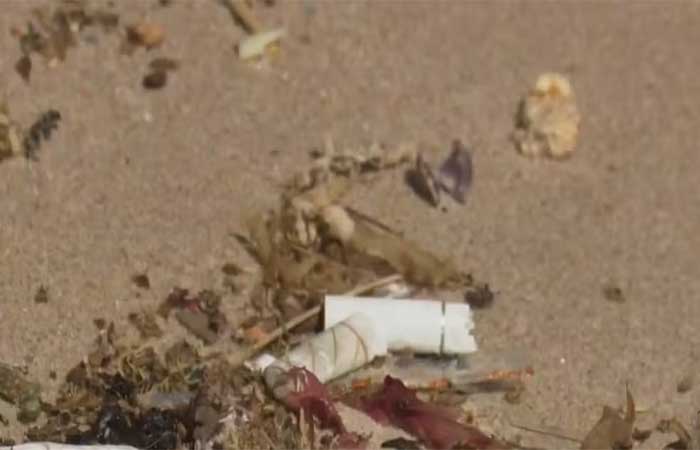 4,5 mil bitucas de cigarro são recolhidas em ação de limpeza na Praia de Manaíra, em João Pessoa