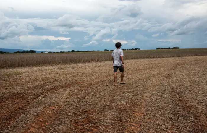 Primavera começa nesta terça: o que esperar da estação com o El Niño no Brasil