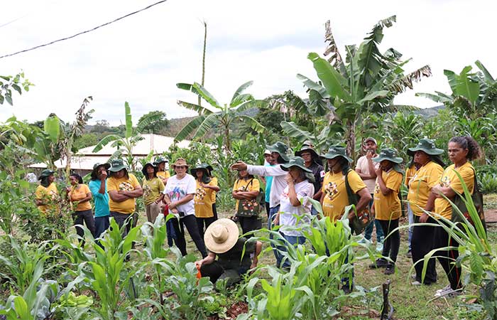 Mais de 700 mudas transformam o entorno da Lagoa de Ibirité com agroecologia e mobilização comunitária