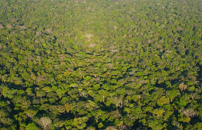 Amazônia tem a menor taxa de desmatamento já registrada pelo Inpe