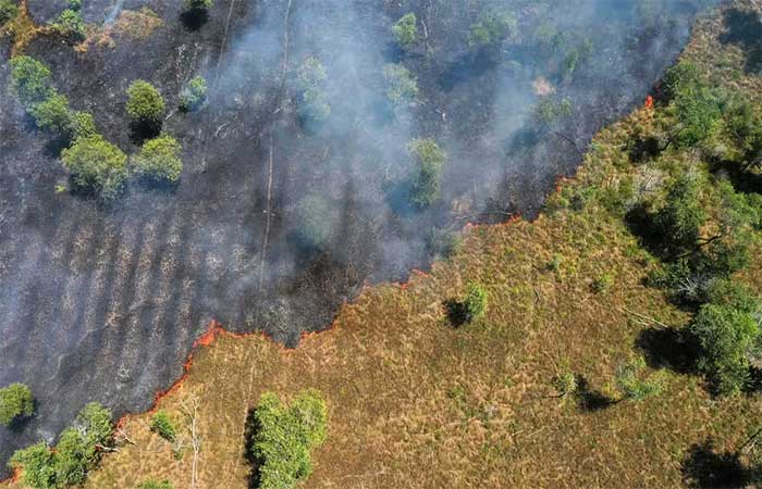 ‘Mudanças climáticas’ ou ‘mudança climática’? Por que a diferença entre singular e plural faz diferença