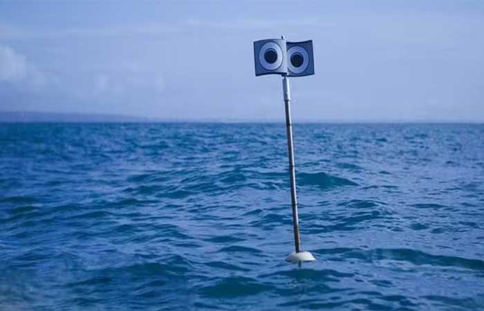 Cientistas criam “espantalho marinho” para proteger espécies ameaçadas