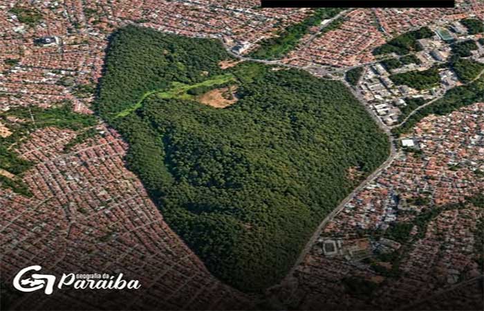 Essa é a Mata do Buraquinho, em João Pessoa, uma das maiores florestas urbanas do mundo