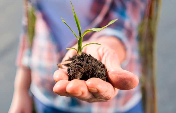 Como os bionsumos podem reduzir a dependência externa da agricultura nacional
